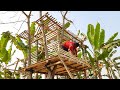 Build An Amazing Clay House With Tree - Tree House Making by Smart Village Boys
