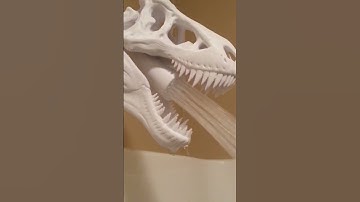 T-Rex Shower head - 3D printed