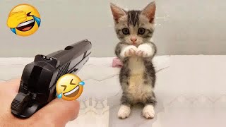 New Funny Animals 🐢 Funniest Cats and Dogs Videos 🐷🐈‍⬛ #24