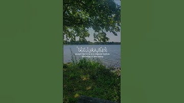 #قران_كريم #صلوا_على_النبي #راحة_نفسية #تلاوة_خاشعة #اكسبلور_explore