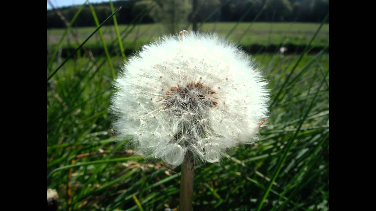 Watch Musical Composition - "Atmosphere" on YouTube Watch Musical Composition - "Atmosphere" on YouTube