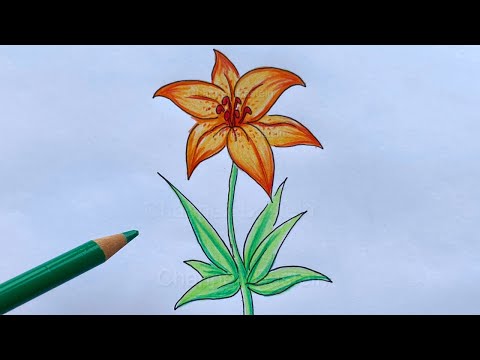 Video: Wie Zeichnet Man Eine Nelke?
