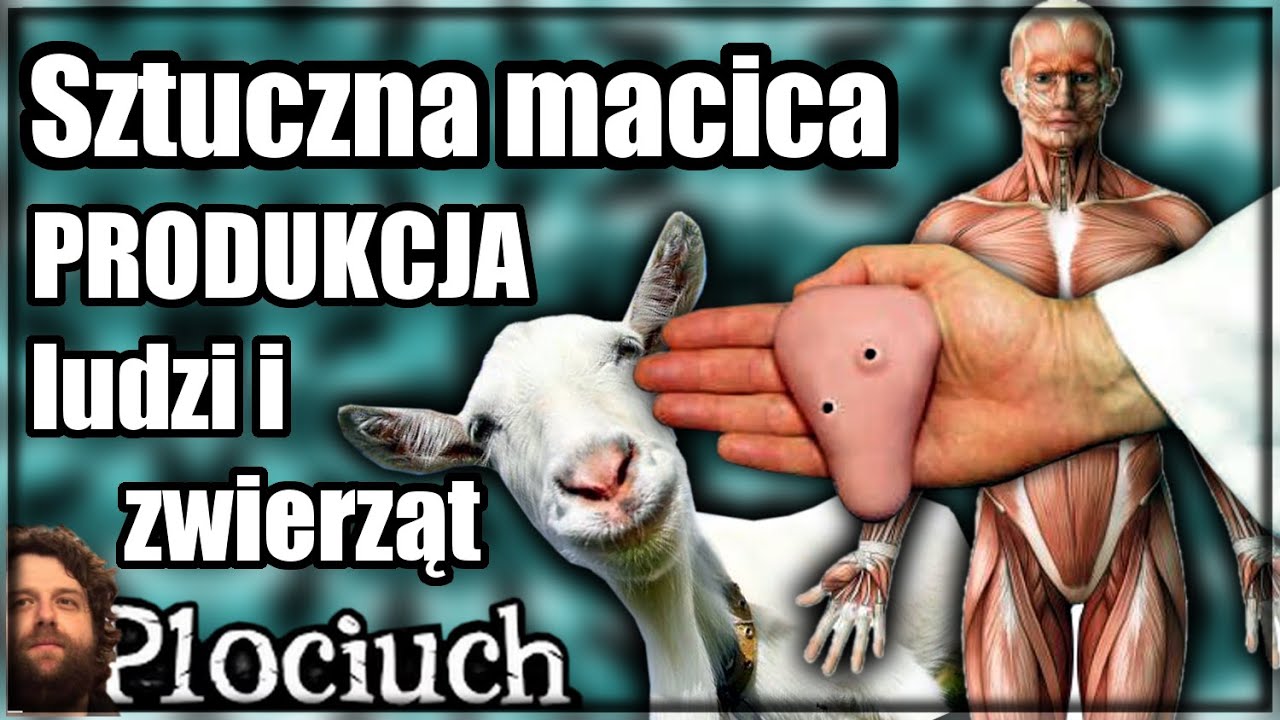 Plociuch #198 - Sztuczna macica i PRODUKCJA ludzi i zwierząt scientologie
