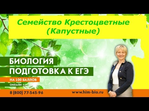 Семейство Крестоцветные. Теория и практика ЕГЭ/ОГЭ 2017.