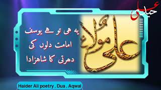 Imam e Ali poetry || Haider Ali voice || shia poetry islamic