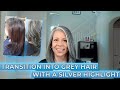 Transition into Grey Hair with a Silver Highlight, Help for Blonde, Red or Brunette