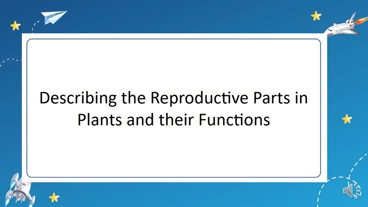 DESCRIBING THE REPRODUCTIVE PARTS IN PLANTS AND THEIR FUNCTIONS science-5-describe-the-reproductive-parts-in-plants-and-their