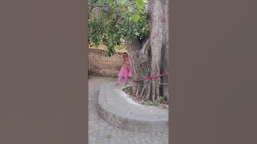 26 मई सोमवती अमावस्या पीपल के पेड़ के नीचे करें उपाय #viralvideo #viralshort #pradeepmishra #shorts