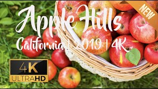 Apple Picking California | Apple Hills | El Dorado | 4K | 2019 Apple Picking California | Apple Hills | El Dorado | 4K | 2019