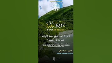 #آيات #اكتب_شي_تؤجر_عليه #اكتب_شي_تؤجر_عليه #اكسبلور #سورة_البقرة #explore#ماهر_المعيقلي #اية_الكرسي
