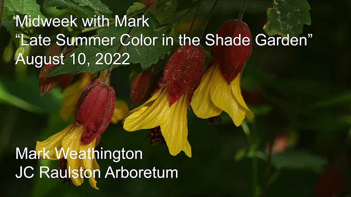 Midweek with Mark - Late Summer Color in the Shade...