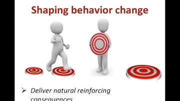 Shaping Behavior Change: Reinforcing Progress Step by Step