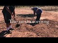 Traditional Navajo Steam Corn