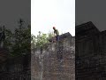 New Bricklaying Technique, More Efficient Transfer!