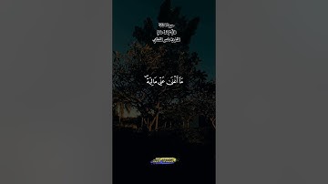 سورة الحاقة الآية |28-33|@أجملتلاواتالقرآنالكريم-ض8ظ