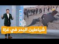 شبكات شياطين البحر تغزو شواطئ قطاع غزة 