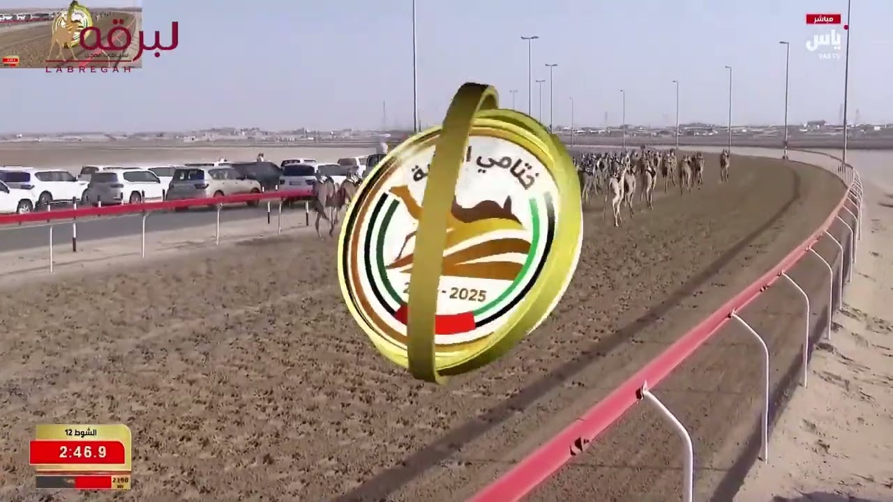 ش12 الشامي لـ راشد سالم علي الغيلاني (مهرجان ختامي الوثبة 01-03-2026) حقايق قعدان 5:43:22