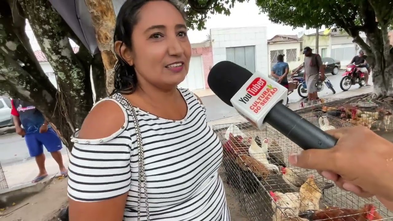 Feira de Galinha Capoeira em São José da Tapera - AL 21 - 02 - 2026 #nodeste