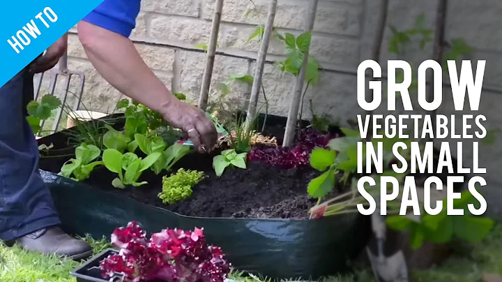 How to Grow Garden Vegetables In Small Spaces