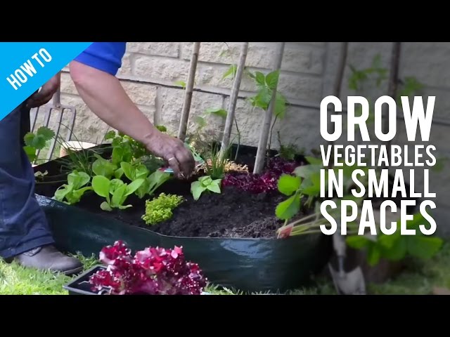 How To Grow Vegetables In Small Gardens With Pictures Wikihow