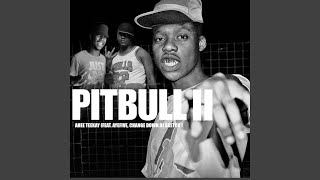Pitbull II
