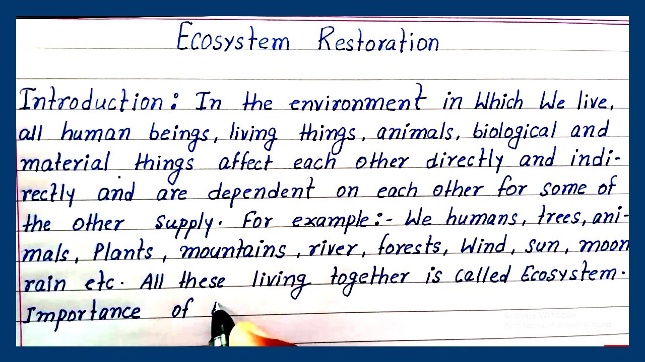 ecosystem essay