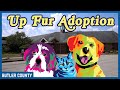 Up Fur Adoption - May 2022