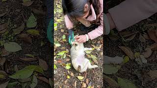 e Finally Trusted Me 🐶 #dog #funnydog #cute #animalrescue #puppy #animals