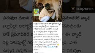 Top 10 Indian Health Habits