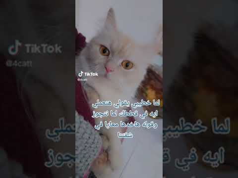 اوعي تاخدي كلامي هزار