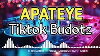 DJ CHRIS - APATEYE - VIRAL TIKTOK BUDOTZ - 2025 REMIX