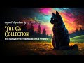 😺 The Cat Collection: Compilation Of Five  Cat 😴 BEDTIME STORIES FOR GROWN UPS