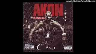 Akon - U Like My Swagga (Ft. Assassin)