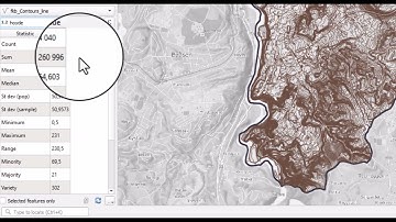 Show Statistical Summary