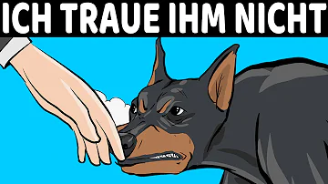 Können Hunde gute Menschen erkennen?