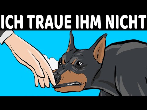 Video: Können Hunde „böse“Menschen erkennen?