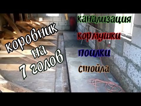 Помещение на 7 голов молочного крс// канализация в коровнике//что переделать в стойлах