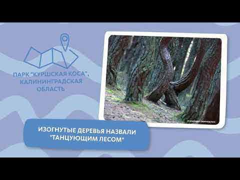 ПЯТЬ КРАСИВЫХ НАЦИОНАЛЬНЫХ ПАРКОВ В РОССИИ