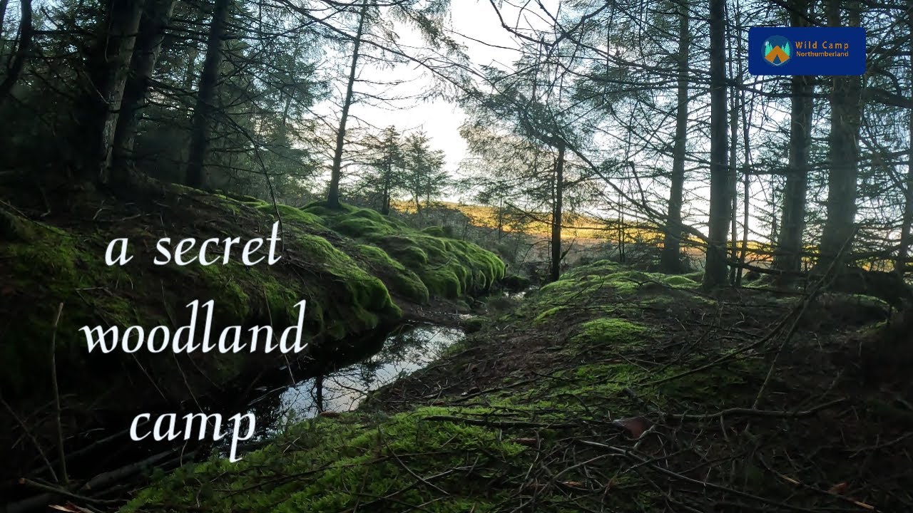 Invited by the Fell Wanderer to his secret camp, hidden in a Northumbrian Forest 