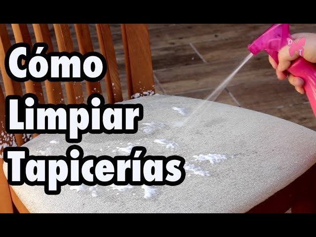 Cómo limpiar a fondo las tapicerías (sofás, sillones, cojines) y  alfombras - mercadona