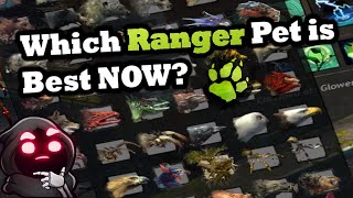 Which Ranger Pet is Best NOW? - Guild Wars 2 Which Ranger Pet is Best NOW? - Guild Wars 2