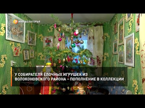 У собирателя ёлочных игрушек из Волоконовского района – пополнение в коллекции