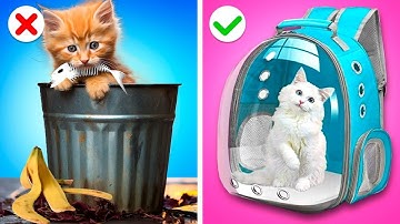 Đây Là Một Căn Nhà Cầu Vồng🌈 Cho Mèo🐱 Ư? Bố Vs Bố Dượng || Ý Tưởng DIY Dễ, Mẹo & Công Cụ Tuyệt Vời