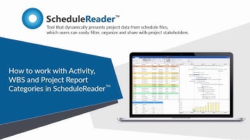How to work with Activity, WBS and Project Report Categories in ScheduleReader