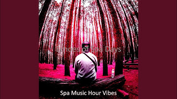 Outstanding Koto and Strings - Vibe for Mineral Baths