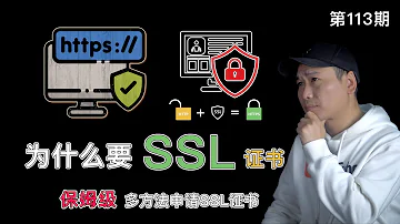 SSL TLS证书是什么 为什么需要用到SSL证书 全网最全面的一期 SSL证书申请保姆级教程 彻底解决证书申请不下来报错的问题 支持单域名 多域名 泛域名 通配符域名 多域名共用证书 