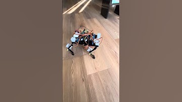 Quadruped robot with LEGO and Geek Servos
