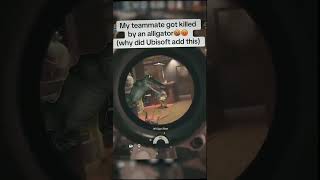 siege x update