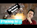 Biological Basis of Memory Quiz