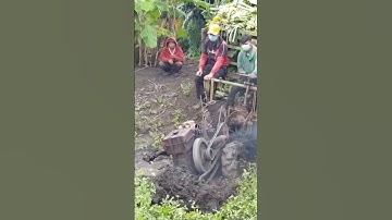 #shorts xe công nông chở chuối bóc khói P1